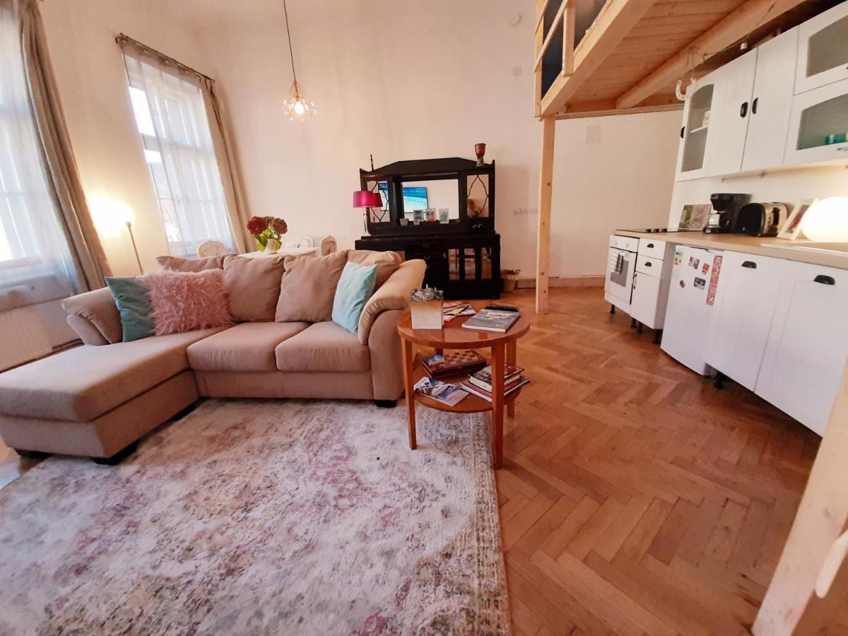 Central Loft Apartment Braşov Esterno foto